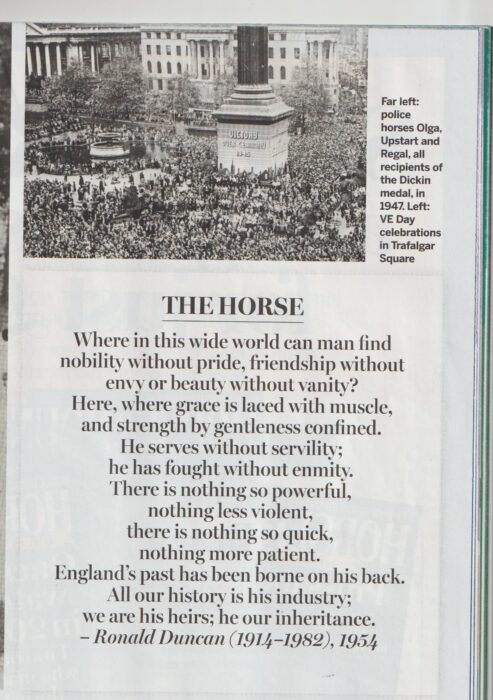 A poem of The Horse from a book